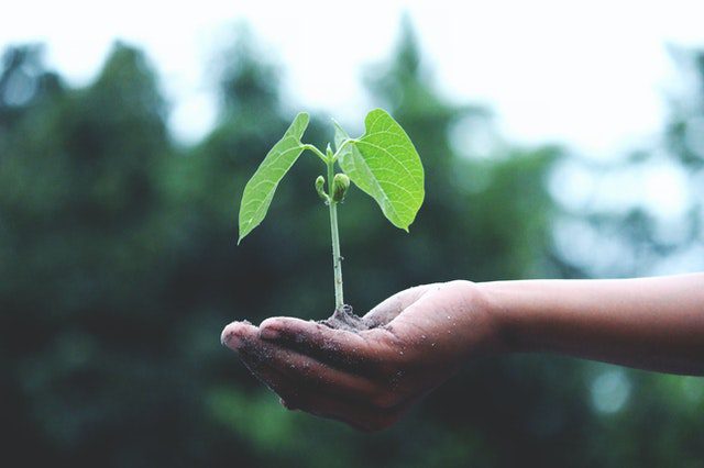 Sustentáveis, nós somos?