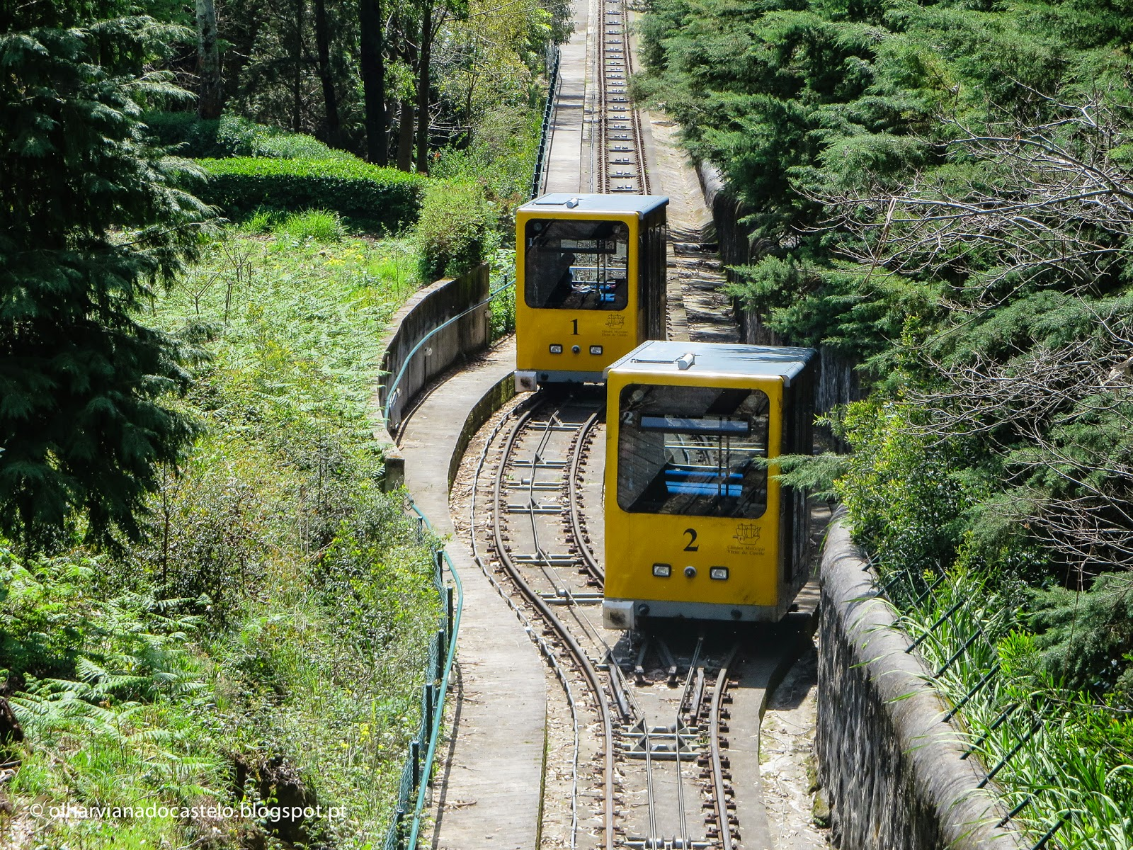 Elevador de Santa Luzia será reformado por 356 mil euros